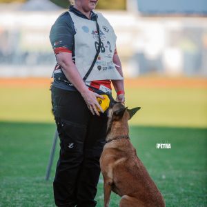IGP Obedience Clinics
