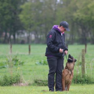 Accept and respect spectator space