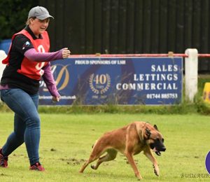 Obedience half day training