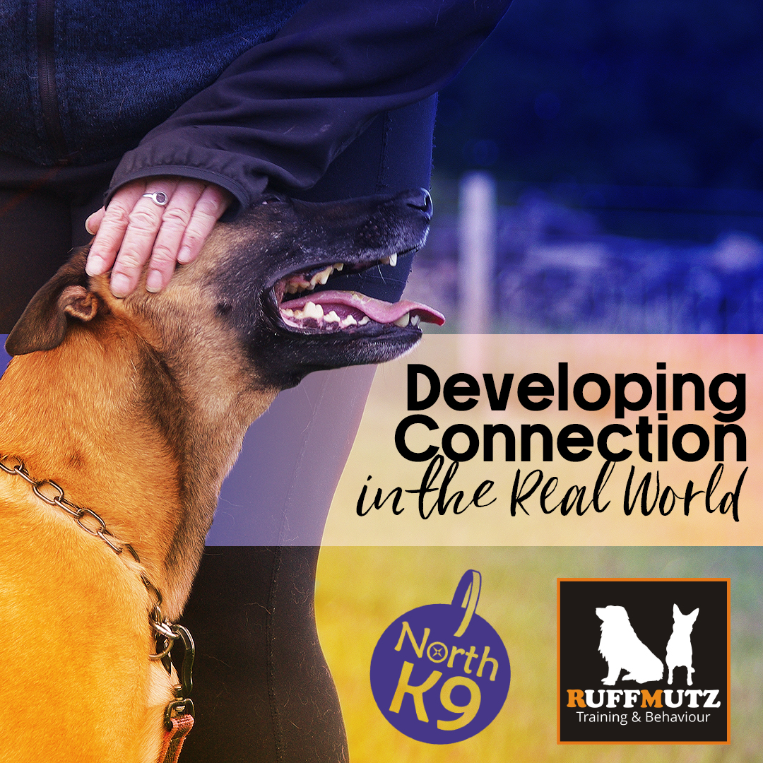 Developing Connection in the Real World