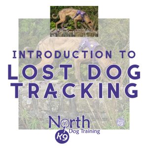 Introduction to Lost Dog Tracking 